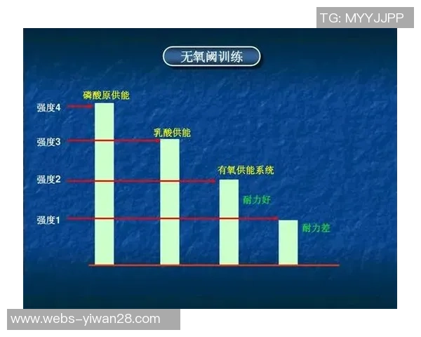 南京羽毛球队战术分析与发展策略探讨助力竞技水平提升
